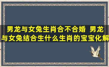 男龙与女兔生肖合不合婚  男龙与女兔结合生什么生肖的宝宝化解